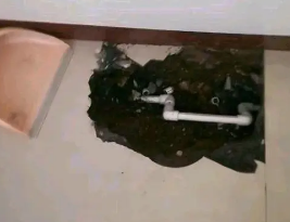 无棣卫生间测漏水多少钱